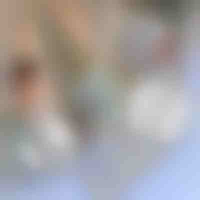 Taśma naprawcza do moskitier | INSECTAPE