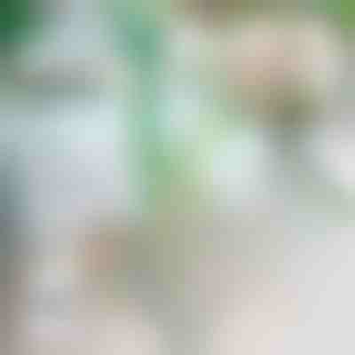 Stabilizator Roślin | ROOTZI