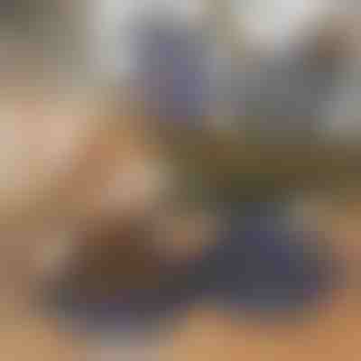 Składana Miska 2 w 1 na Karmę i Wodę | WOOFDISH