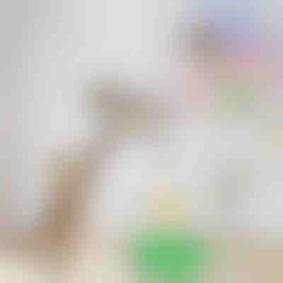 Elektryczny Ptak Zabawka Aktywizująca dla Kota | BIRDIETOY