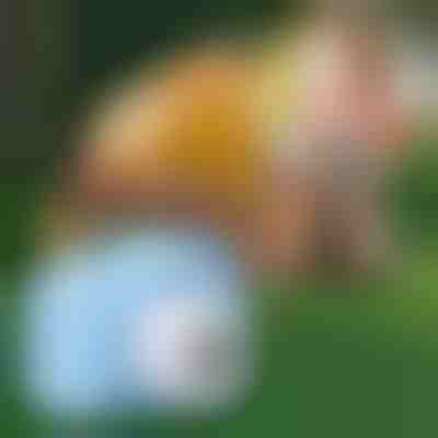 Zabawkowy aparat fotograficzny dla dzieci | FUNCAM