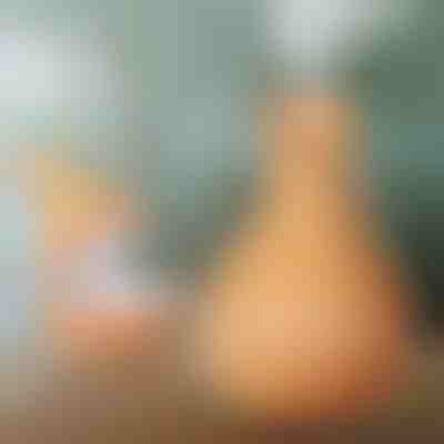 Drewniany nawilżacz powietrza | HUMISTER