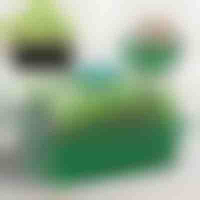 Taca do uprawy rozsady z przegródkami | PLANTURKA