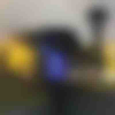 Zewnętrzna lampa odstraszająca komary (2 sztuki) | SOLARBUZZ